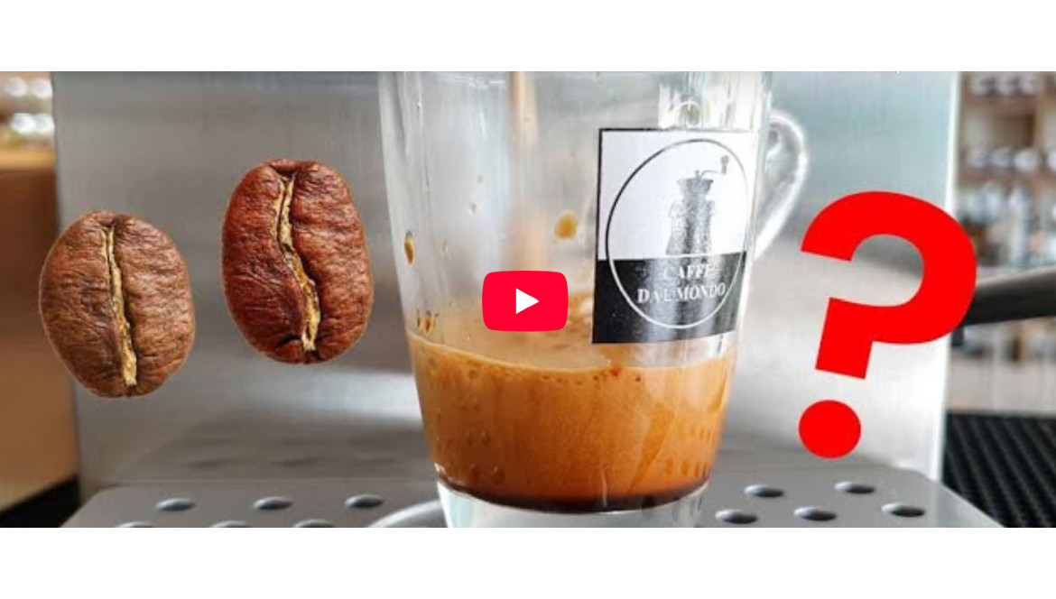 Differenze Arabica e Robusta caffè + differenze visive (VIDEO DEFINITIVO)